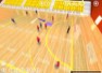 Handball 3D software